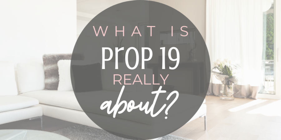 what is prop 19 really about